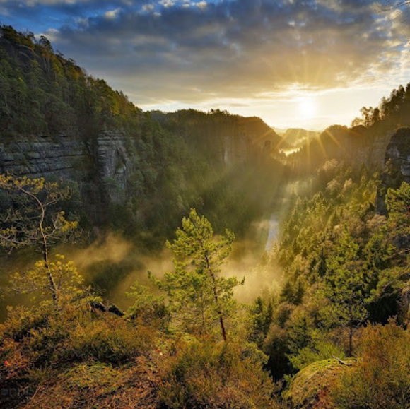 Meet your Posher, Nick - Picture 1 of 1